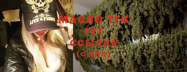 СК Алексин