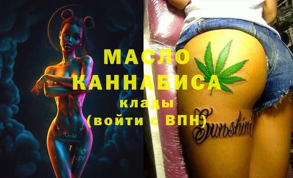 СК Алексин