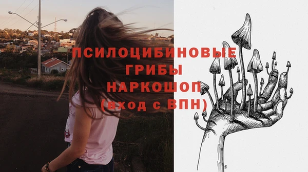 СК Алексин