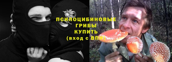СК Алексин